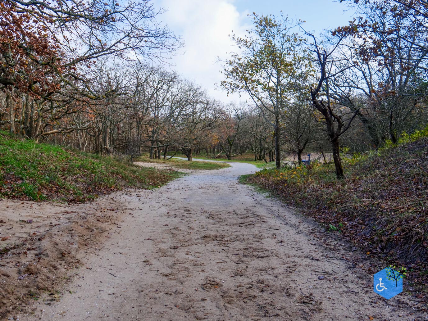 Overveen_Rolstoelwandeling_De_Kennemerduinen_24-11-2023-11