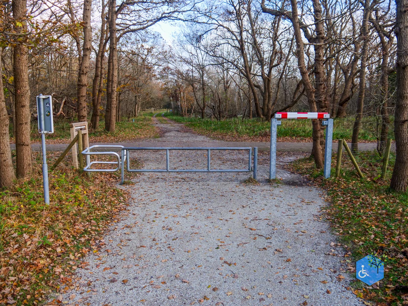 Overveen_Rolstoelwandeling_De_Kennemerduinen_24-11-2023-12