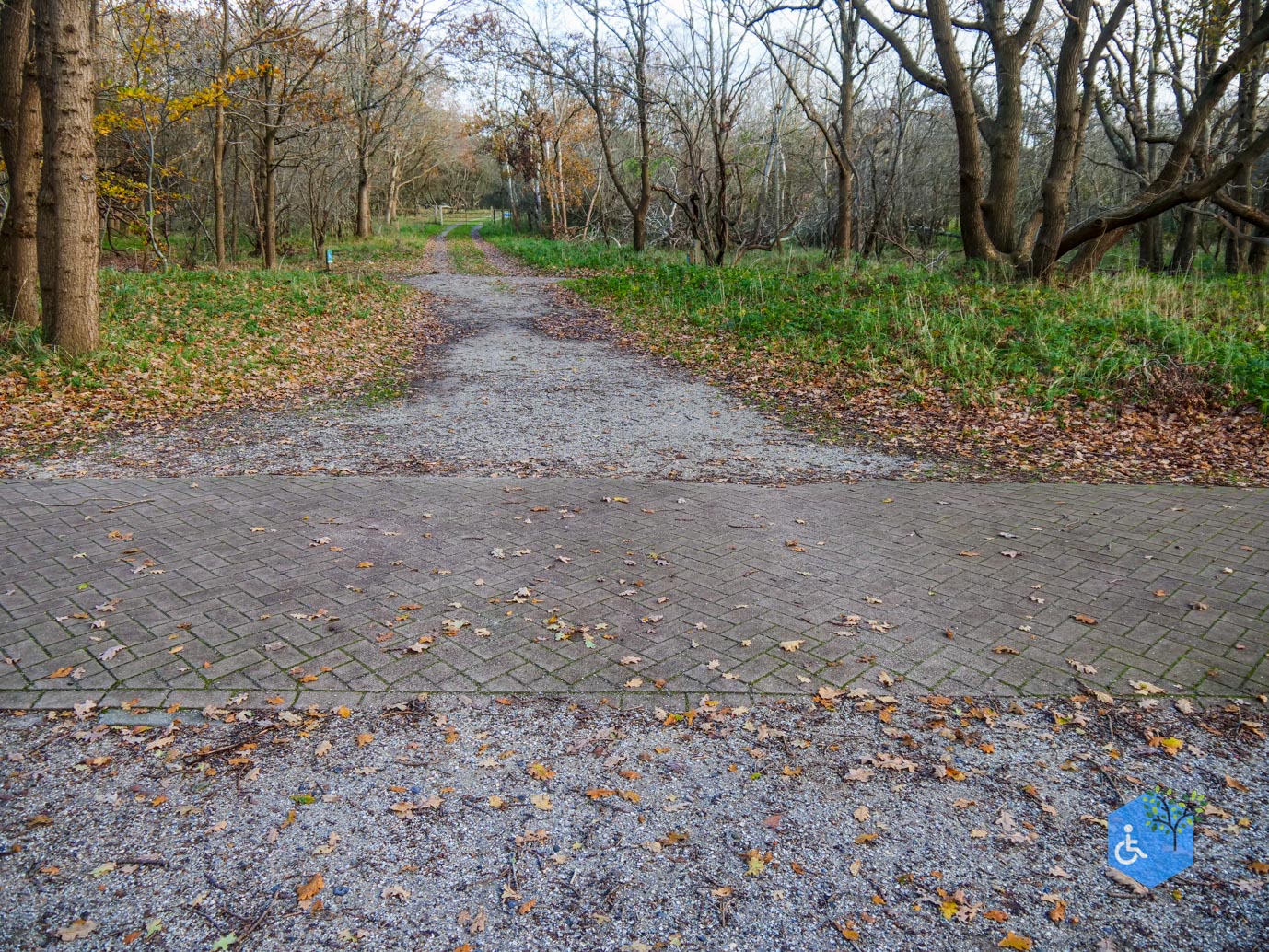 Overveen_Rolstoelwandeling_De_Kennemerduinen_24-11-2023-13