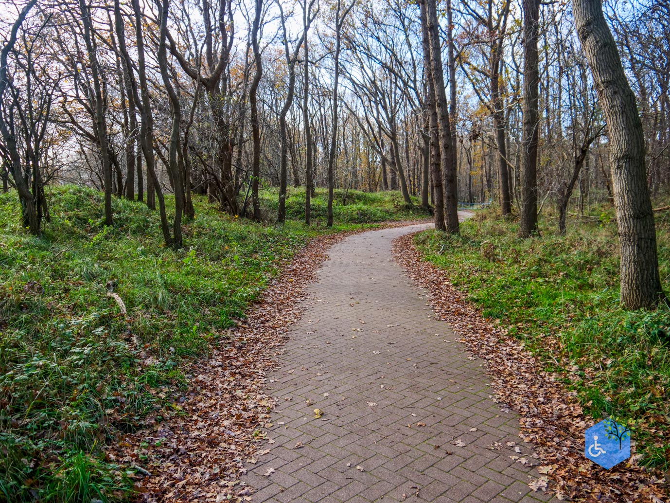 Overveen_Rolstoelwandeling_De_Kennemerduinen_24-11-2023-14