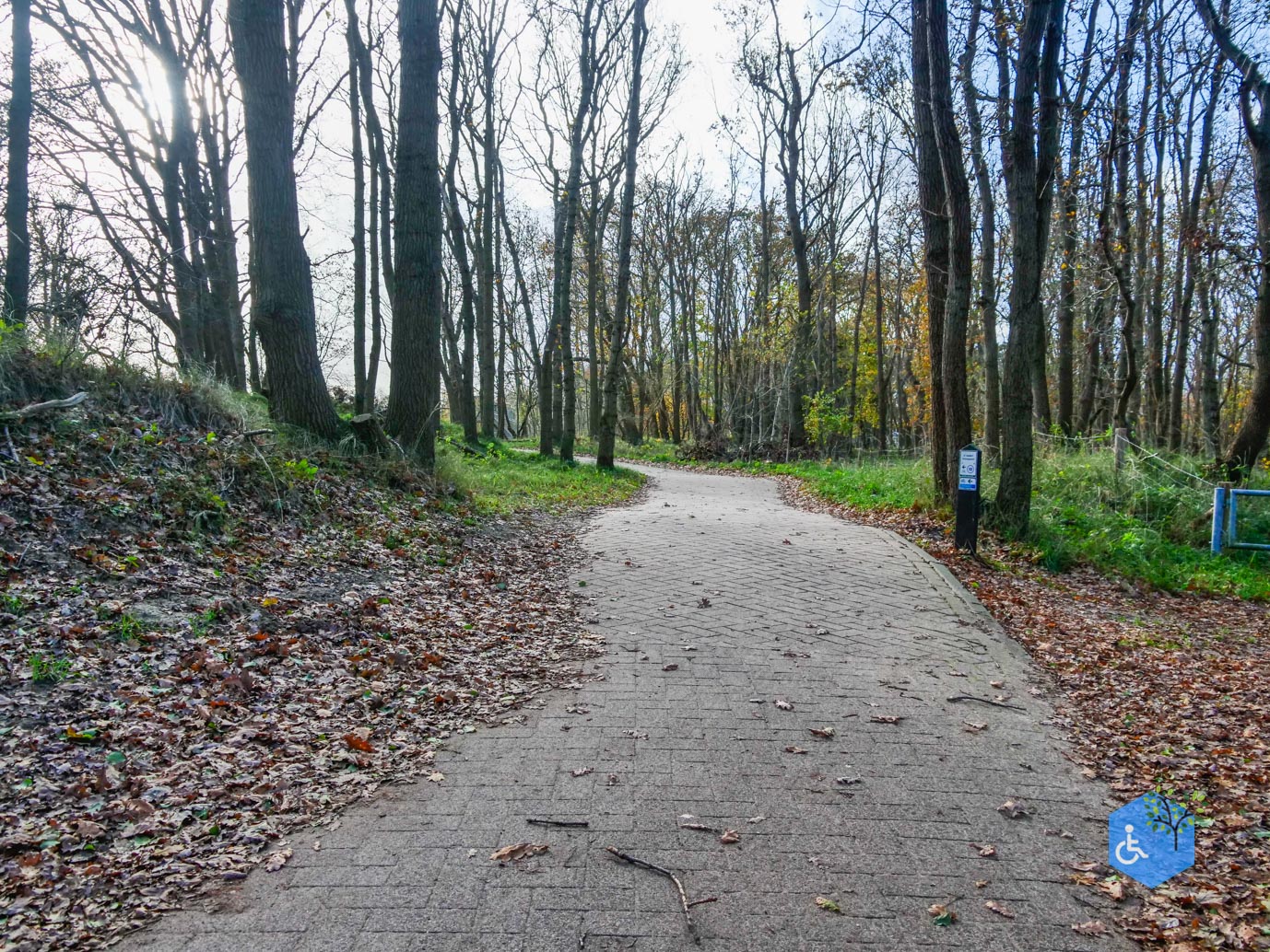 Overveen_Rolstoelwandeling_De_Kennemerduinen_24-11-2023-15