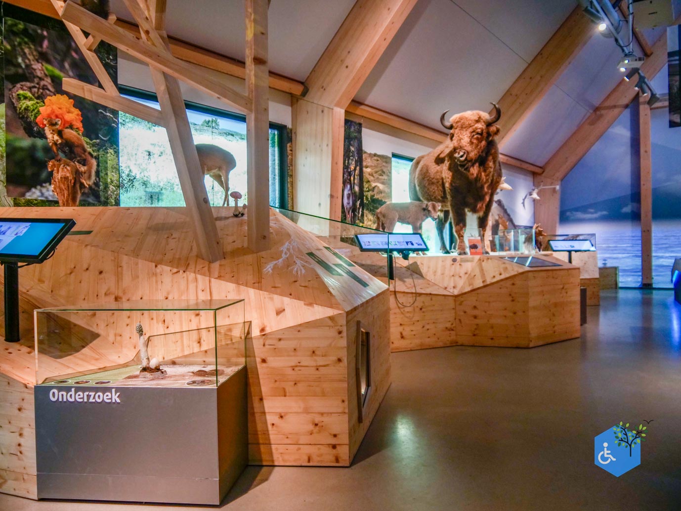 Overveen_Rolstoelwandeling_De_Kennemerduinen_24-11-2023-20