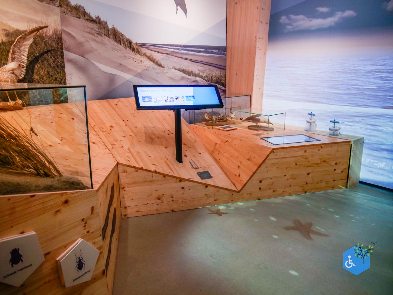 Overveen_Rolstoelwandeling_De_Kennemerduinen_24-11-2023-22