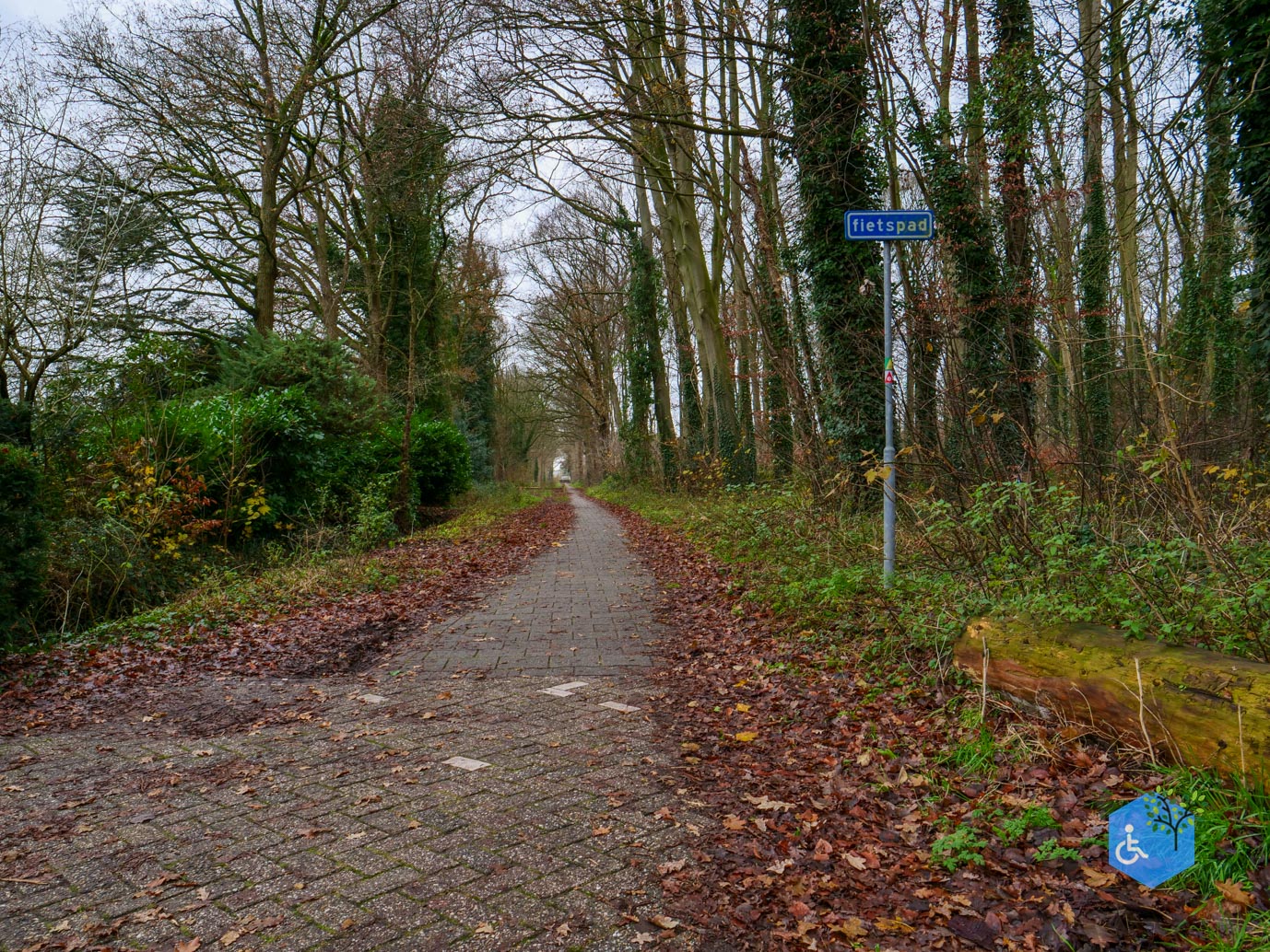 Ulvenhout_Familiepad_Ulvenhoutse_Bos_15-12-2023-04