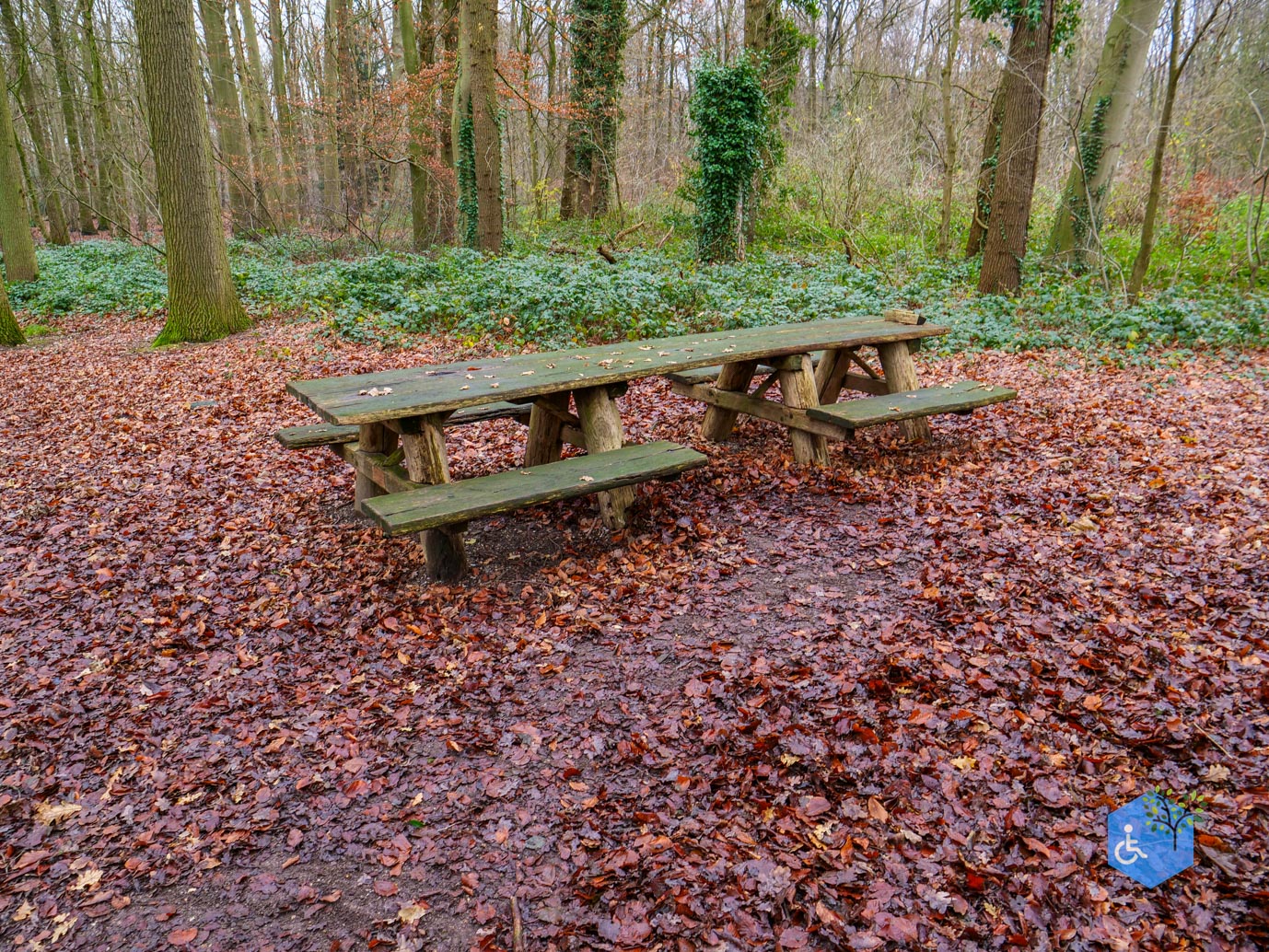 Ulvenhout_Familiepad_Ulvenhoutse_Bos_15-12-2023-07