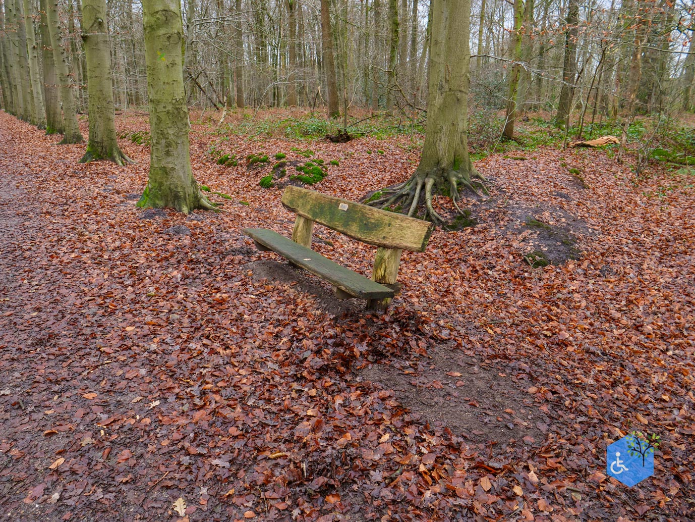 Ulvenhout_Familiepad_Ulvenhoutse_Bos_15-12-2023-11