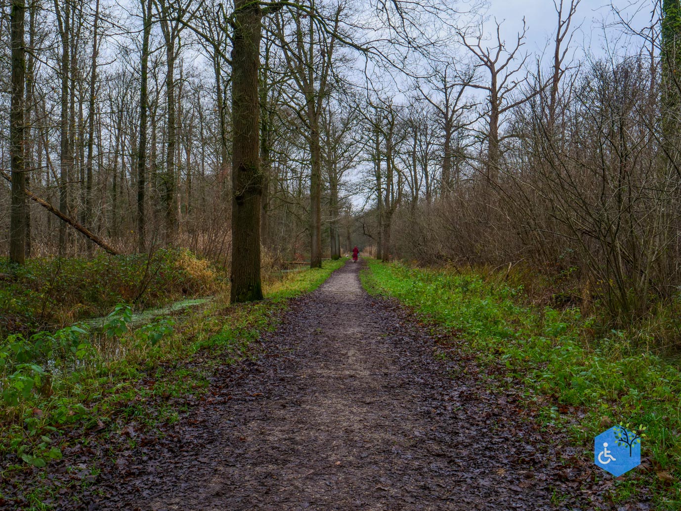 Ulvenhout_Familiepad_Ulvenhoutse_Bos_15-12-2023-12