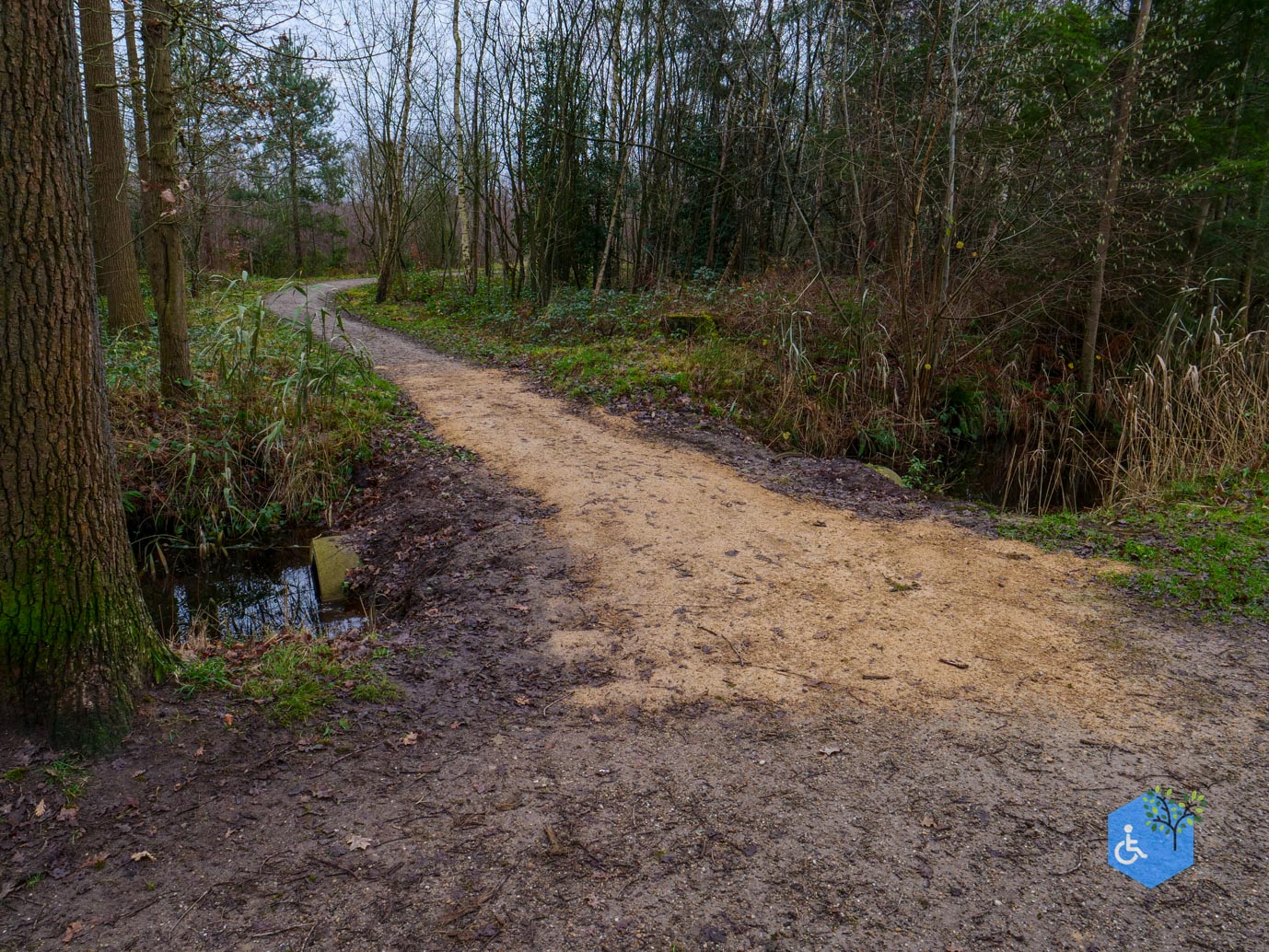 Ulvenhout_Familiepad_Ulvenhoutse_Bos_15-12-2023-13