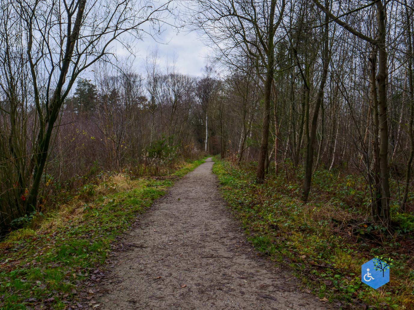 Ulvenhout_Familiepad_Ulvenhoutse_Bos_15-12-2023-14