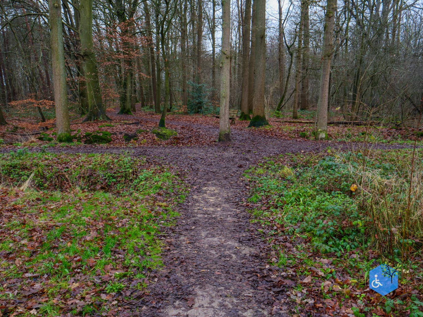 Ulvenhout_Familiepad_Ulvenhoutse_Bos_15-12-2023-15