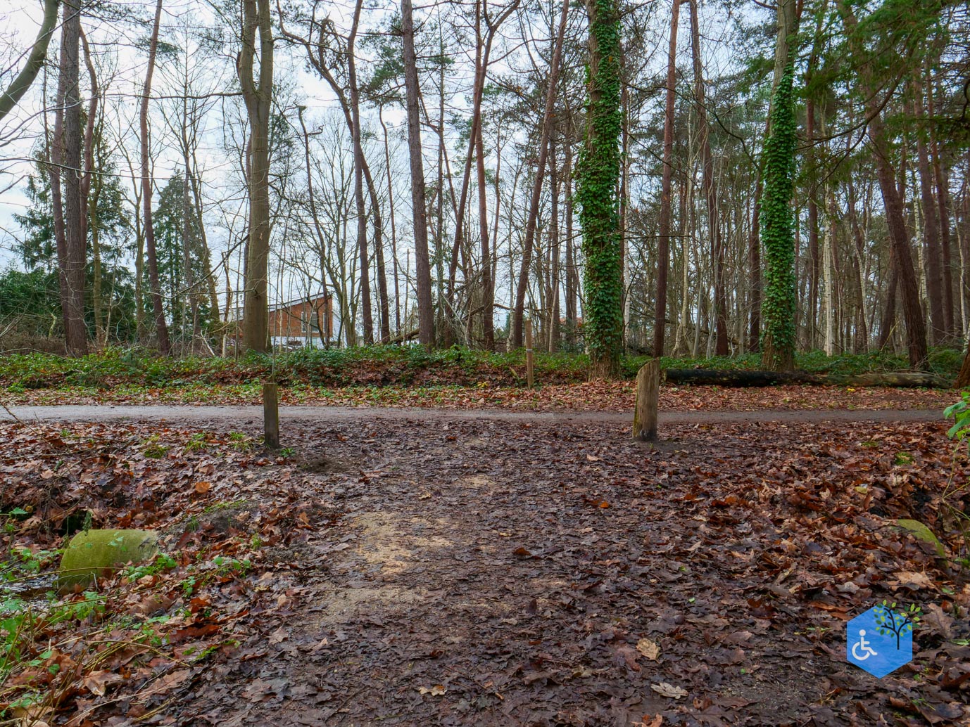 Ulvenhout_Familiepad_Ulvenhoutse_Bos_15-12-2023-20