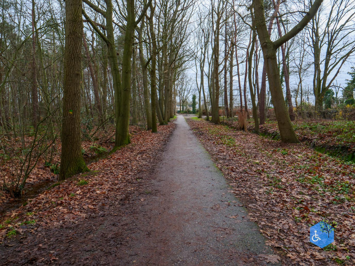 Ulvenhout_Familiepad_Ulvenhoutse_Bos_15-12-2023-21