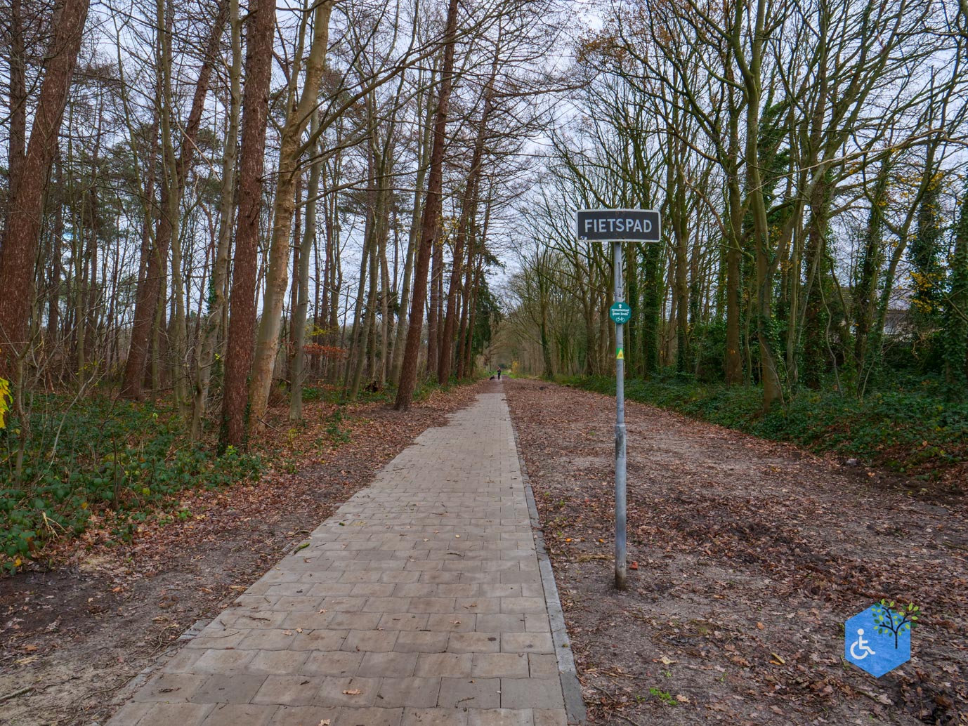 Ulvenhout_Familiepad_Ulvenhoutse_Bos_15-12-2023-23