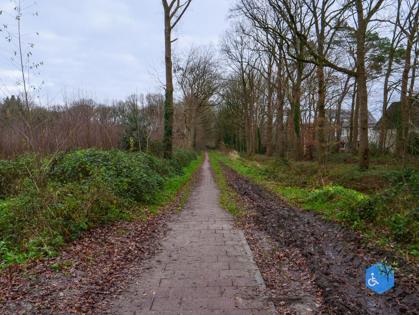 Ulvenhout_Familiepad_Ulvenhoutse_Bos_15-12-2023-25