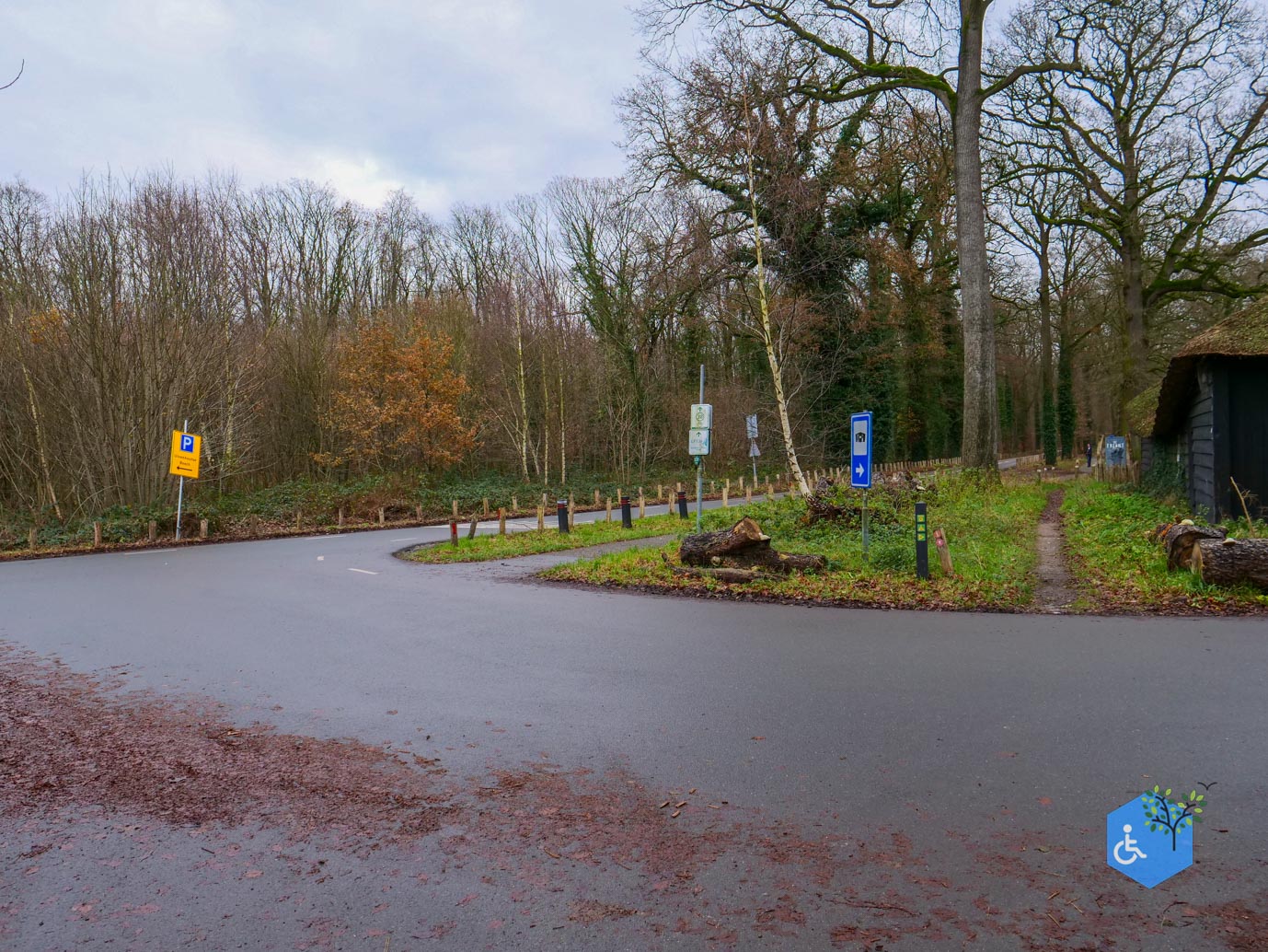 Ulvenhout_Familiepad_Ulvenhoutse_Bos_15-12-2023-27