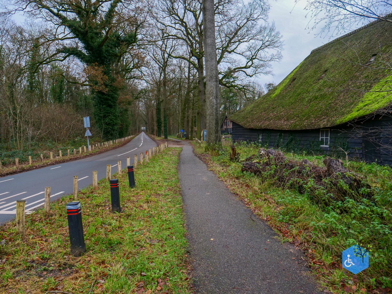 Ulvenhout_Familiepad_Ulvenhoutse_Bos_15-12-2023-28