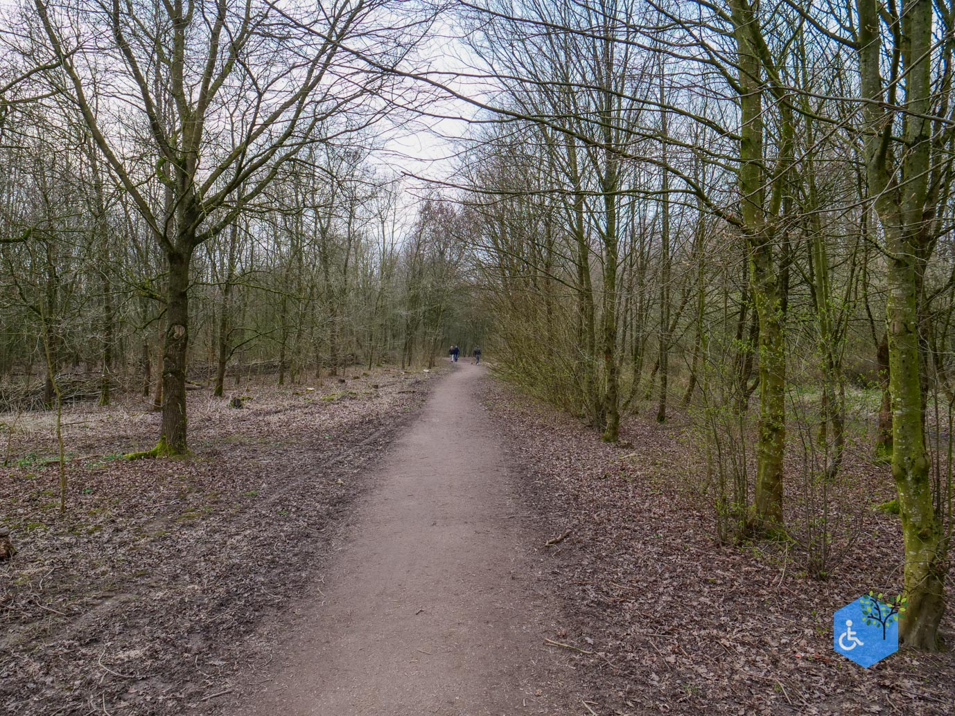 Duiven_Horsterpark_10-03-2024-13