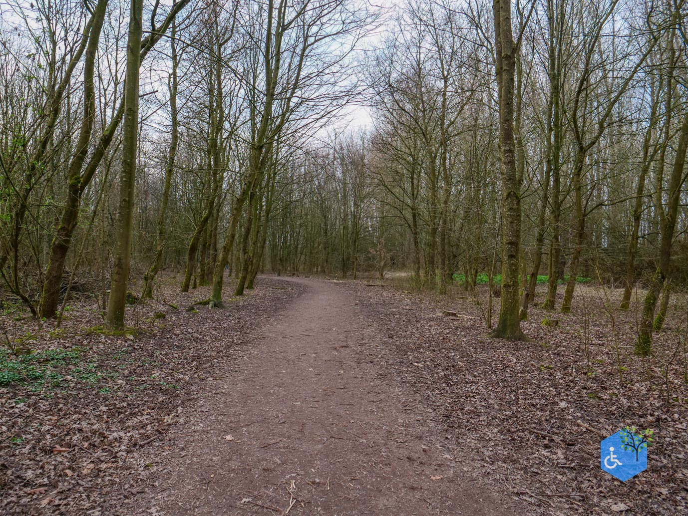 Duiven_Horsterpark_10-03-2024-14