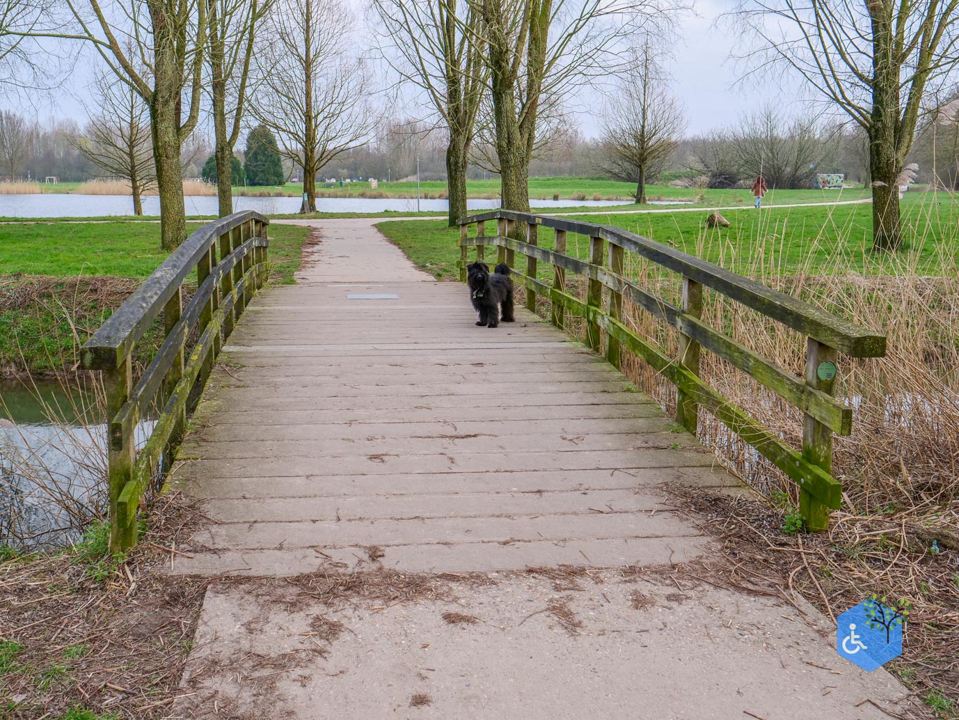 Duiven_Horsterpark_10-03-2024-16