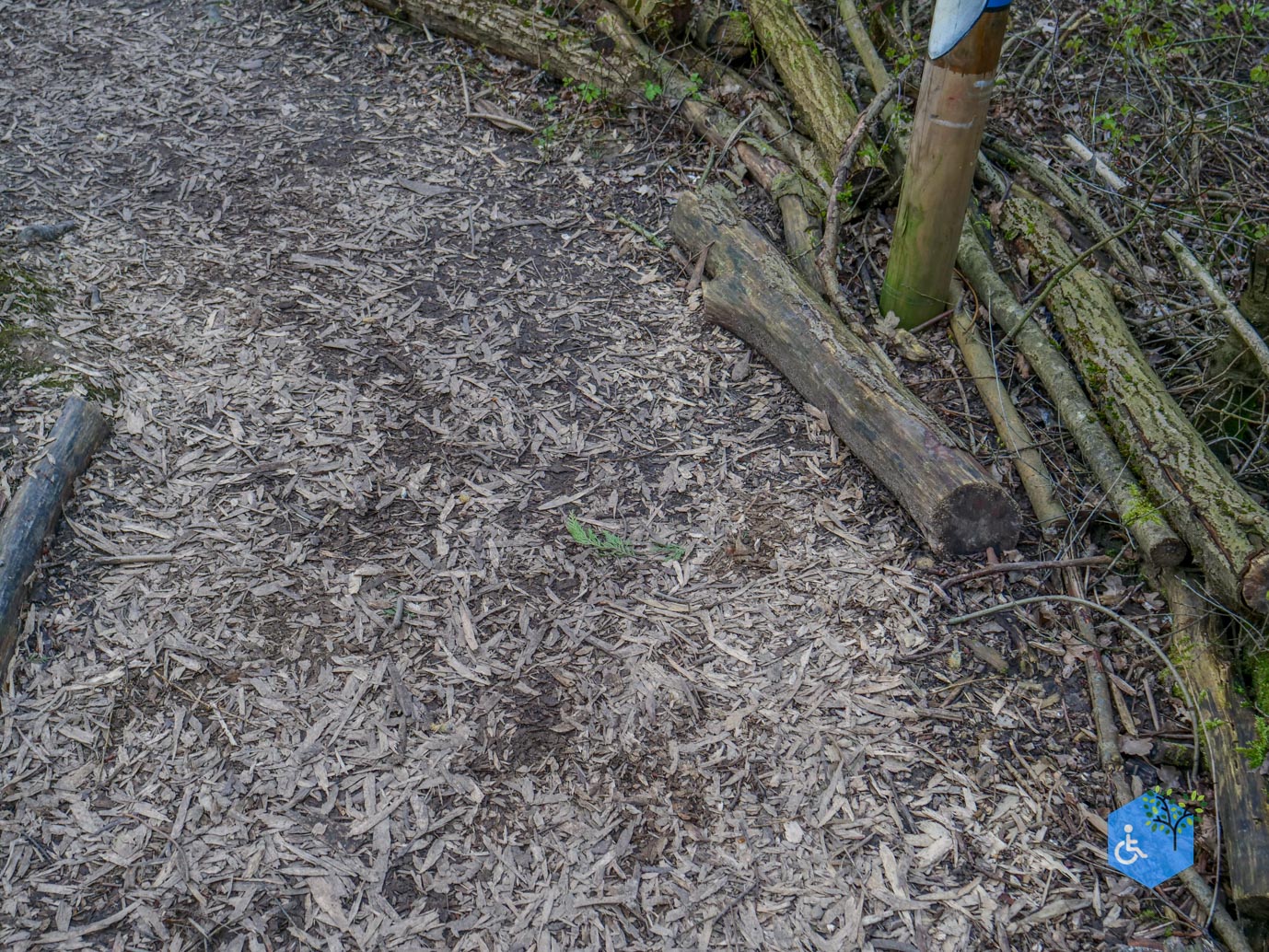 Duiven_Horsterpark_10-03-2024-38