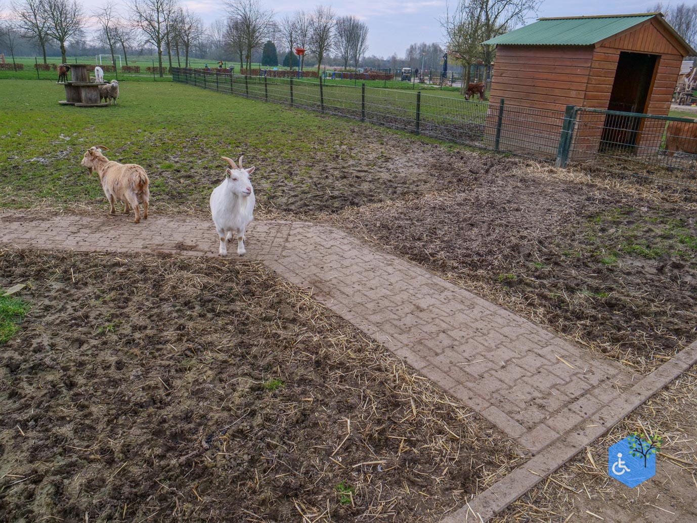 Duiven_Horsterpark_10-03-2024-47