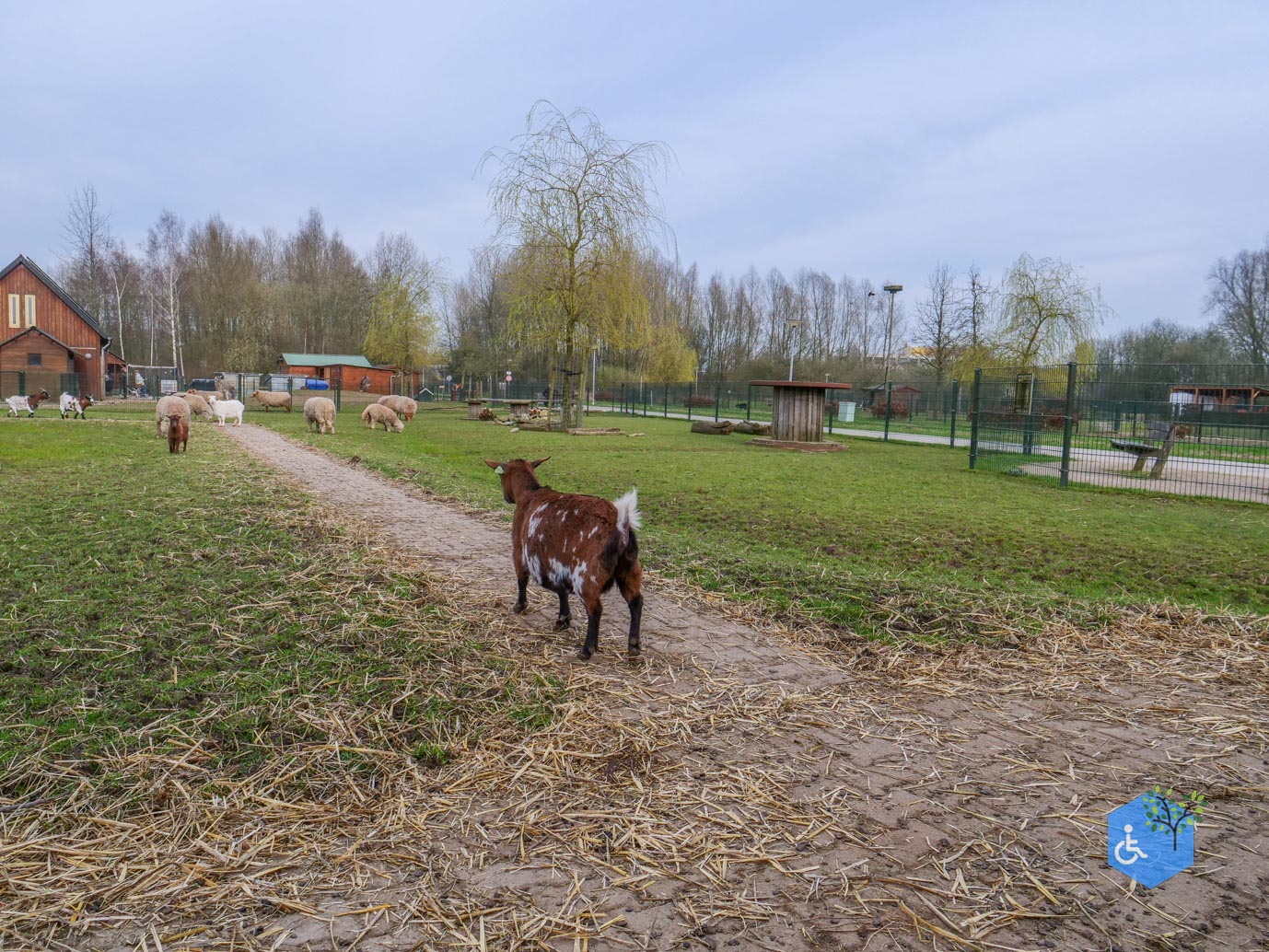Duiven_Horsterpark_10-03-2024-48