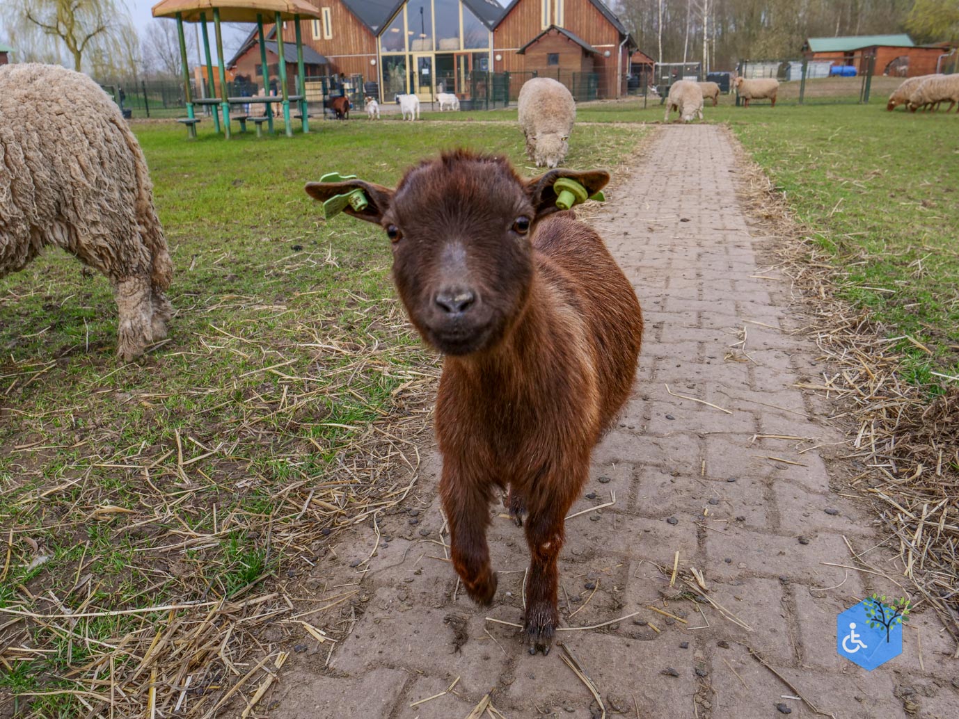 Duiven_Horsterpark_10-03-2024-49