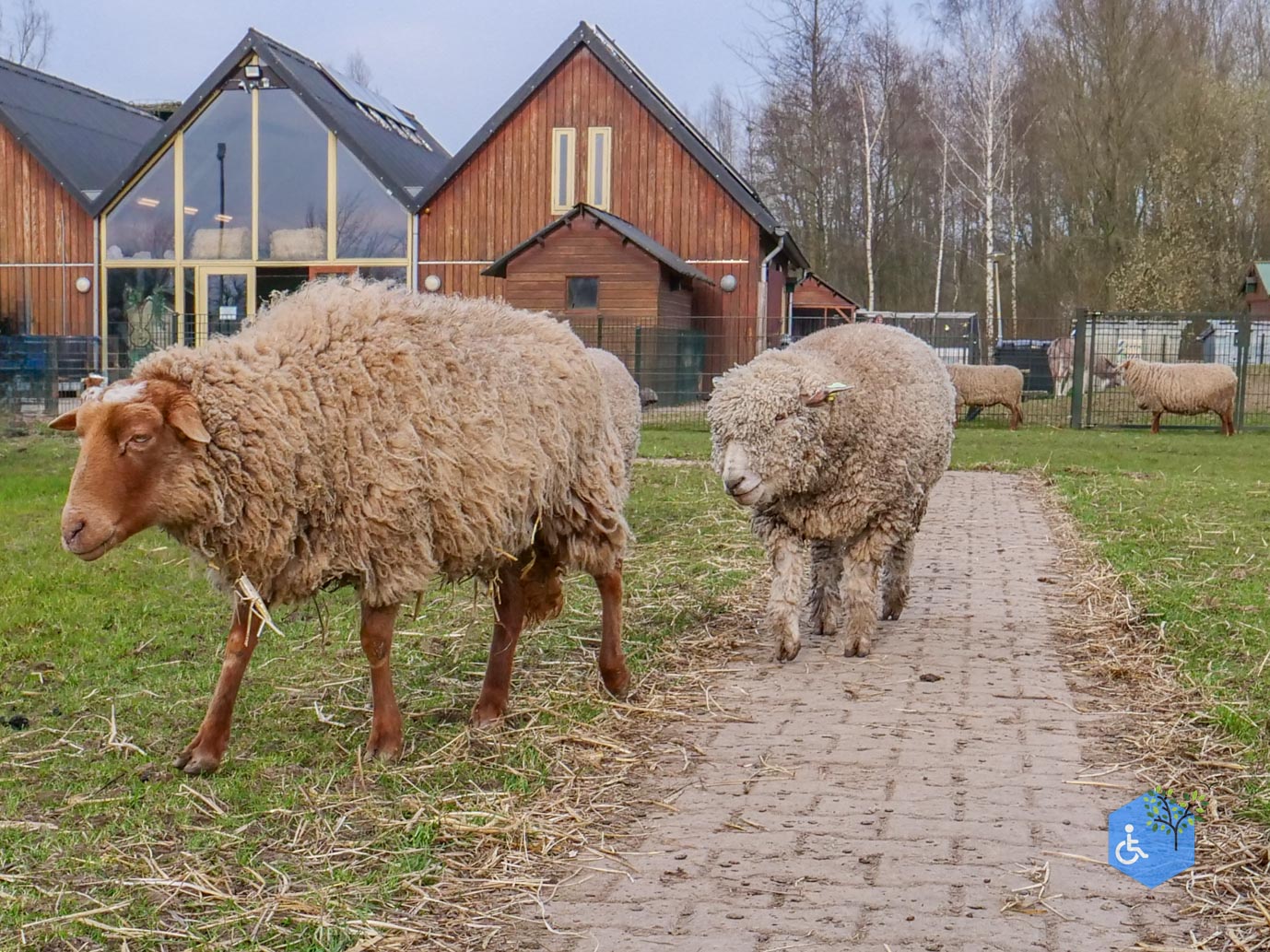 Duiven_Horsterpark_10-03-2024-50