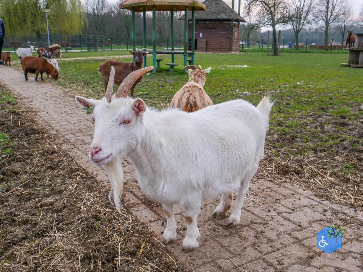 Duiven_Horsterpark_10-03-2024-52