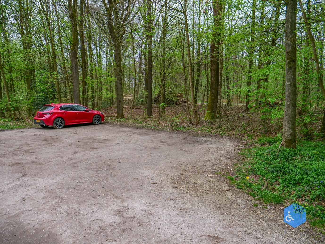 Vijlen_Wandelroute_Malensbos_07-04-2024-01