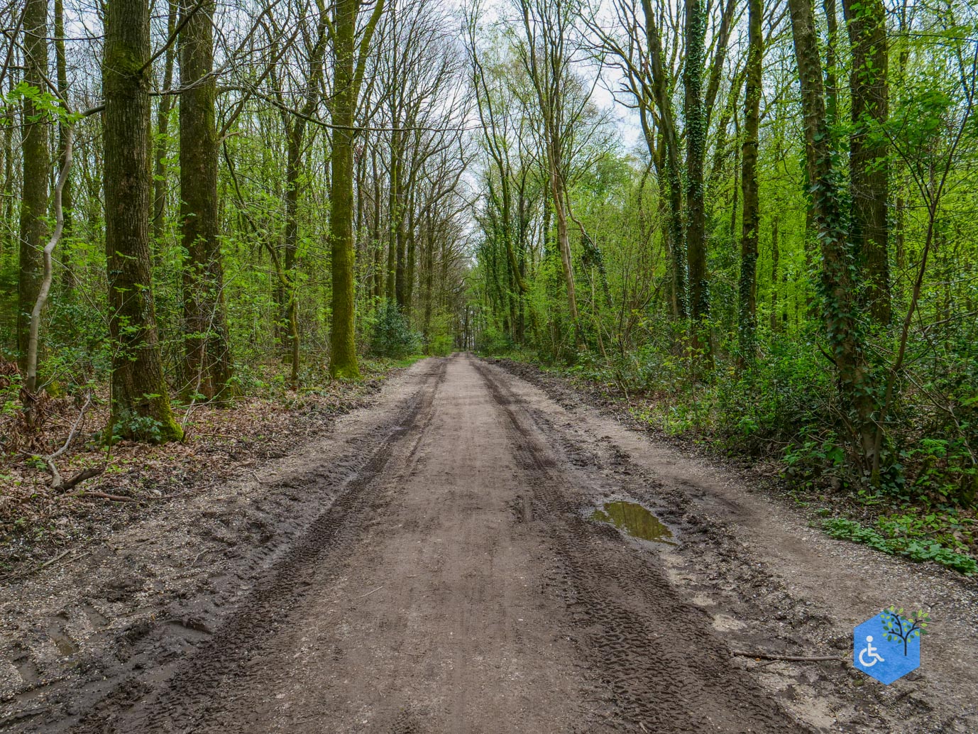 Vijlen_Wandelroute_Malensbos_07-04-2024-04