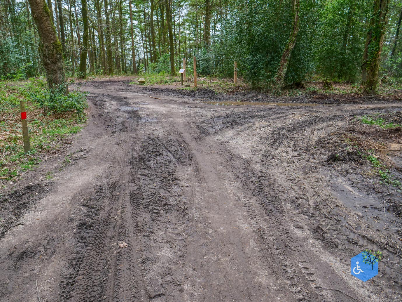 Vijlen_Wandelroute_Malensbos_07-04-2024-05