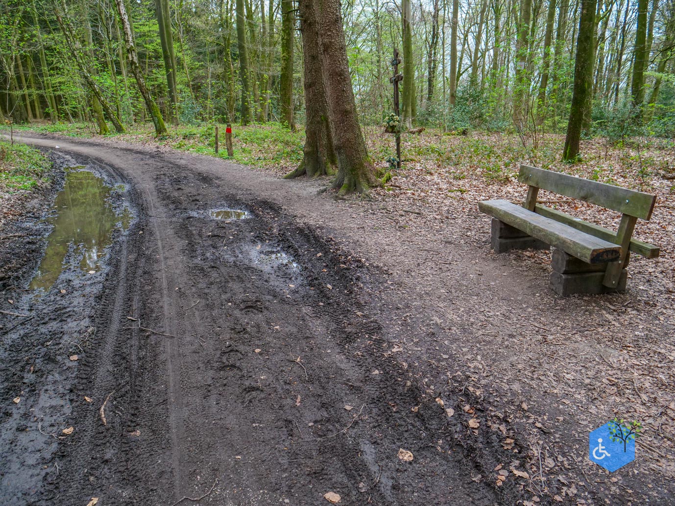 Vijlen_Wandelroute_Malensbos_07-04-2024-07