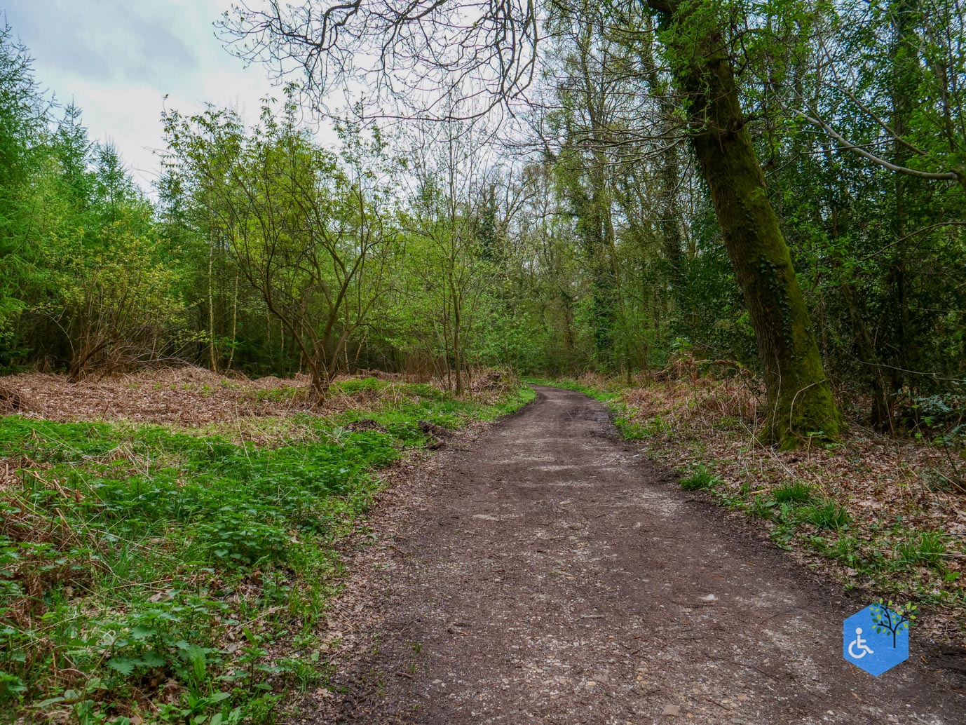 Vijlen_Wandelroute_Malensbos_07-04-2024-19