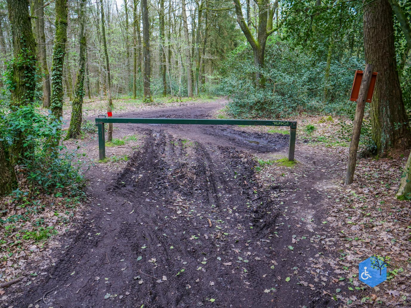 Vijlen_Wandelroute_Malensbos_07-04-2024-21