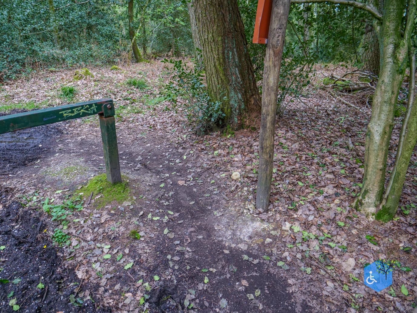 Vijlen_Wandelroute_Malensbos_07-04-2024-23