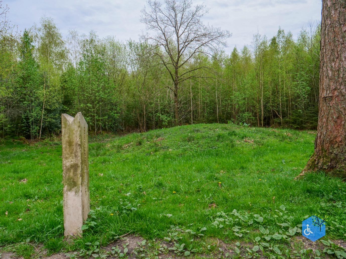 Vijlen_Wandelroute_Malensbos_07-04-2024-28