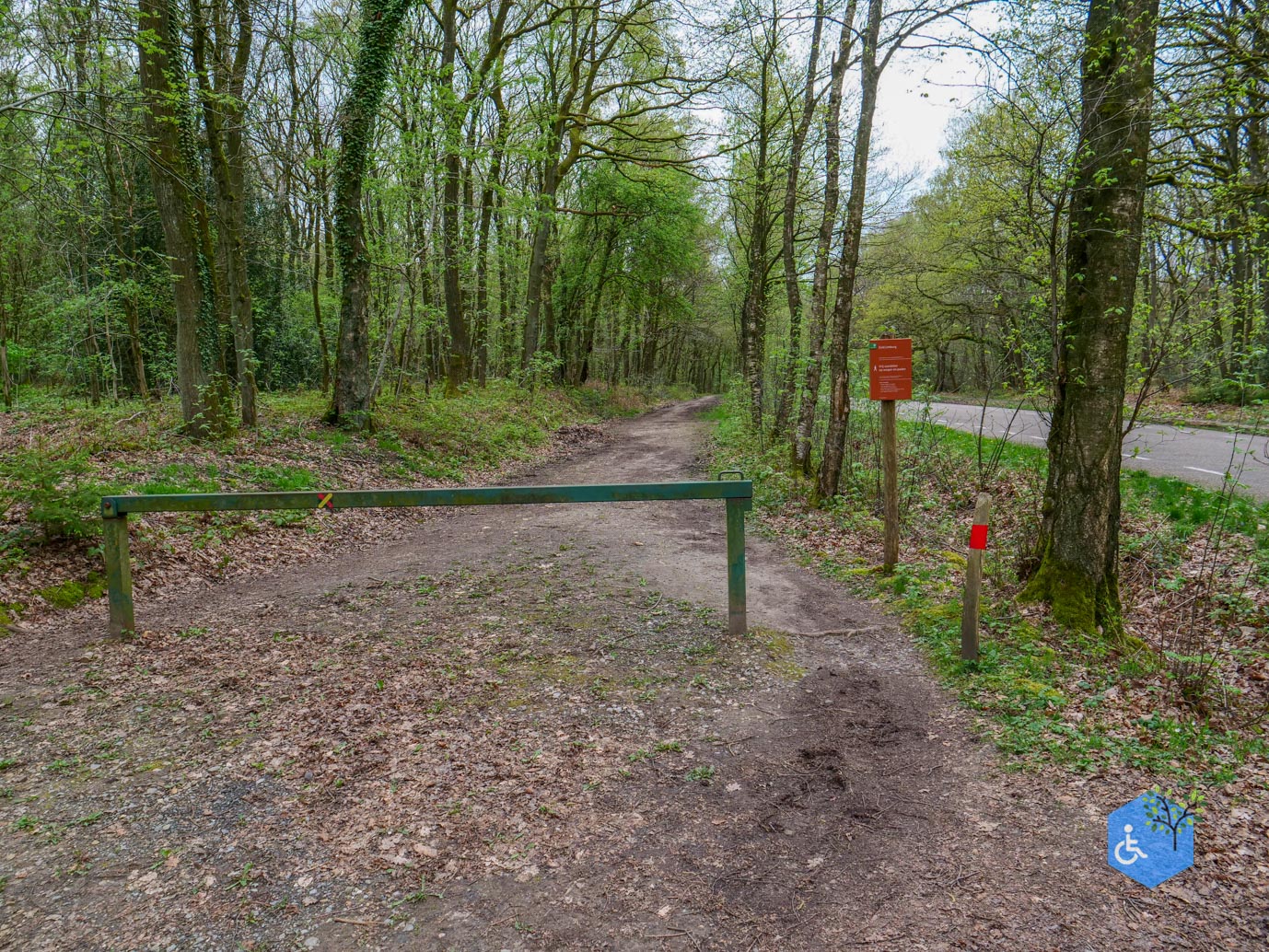 Vijlen_Wandelroute_Malensbos_07-04-2024-30