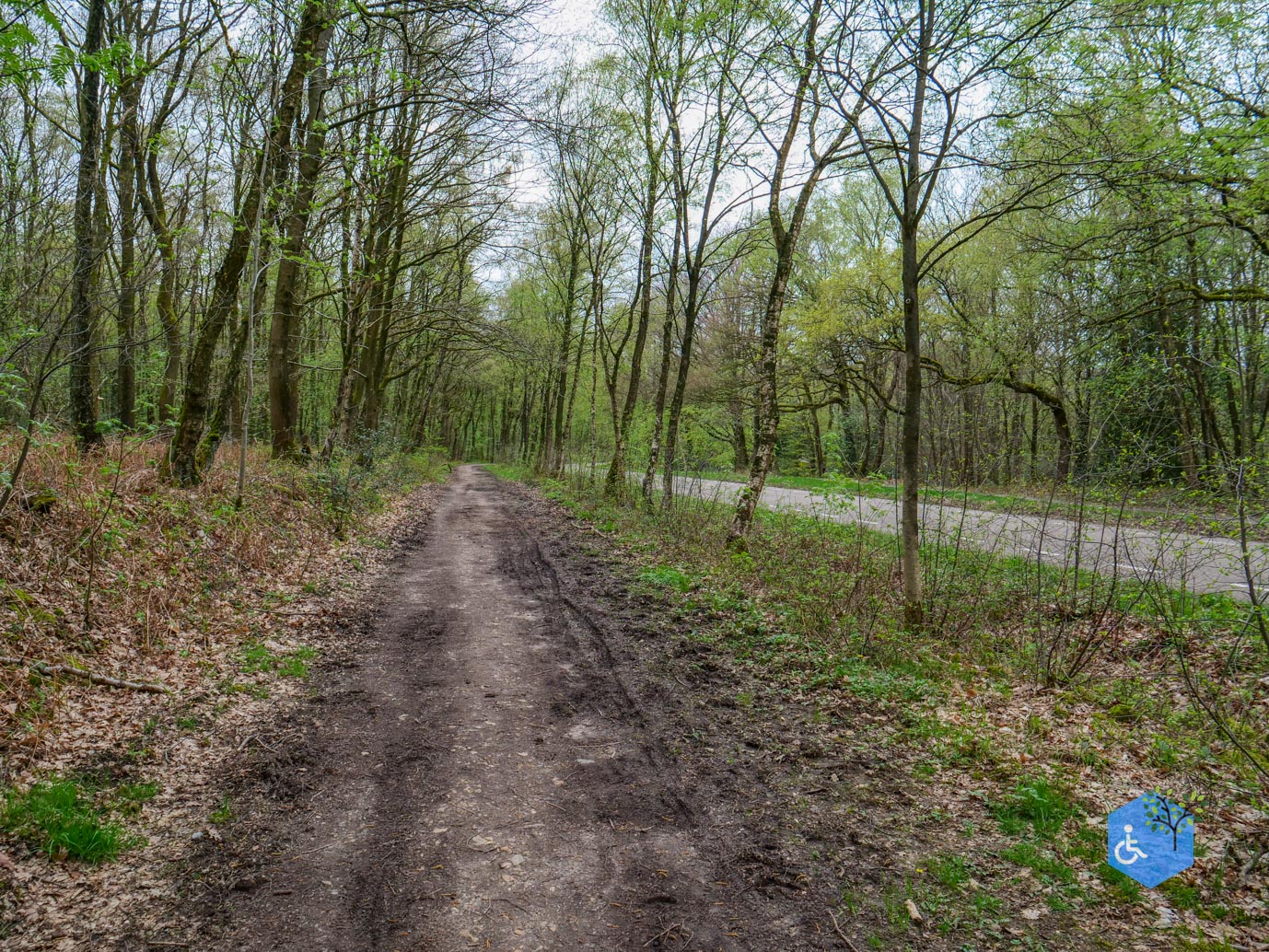 Vijlen_Wandelroute_Malensbos_07-04-2024-32