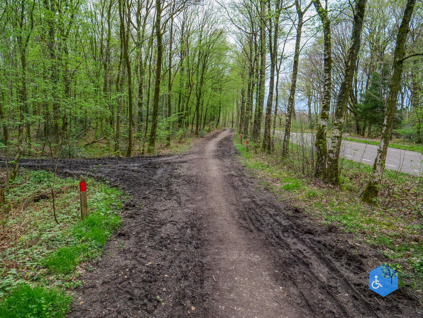 Vijlen_Wandelroute_Malensbos_07-04-2024-33