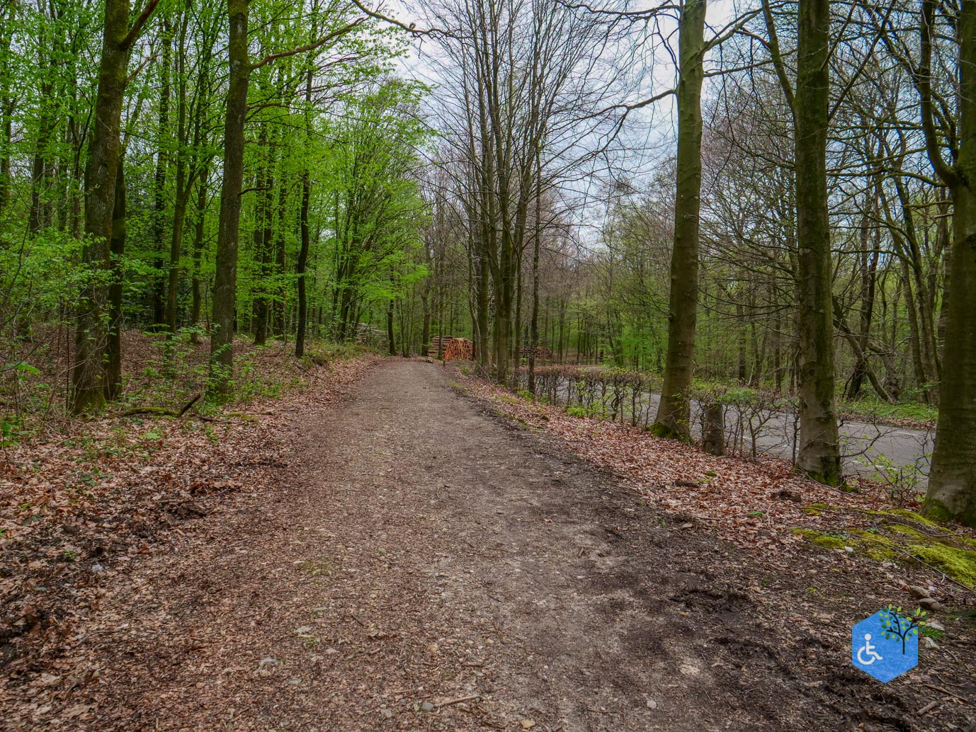 Vijlen_Wandelroute_Malensbos_07-04-2024-34