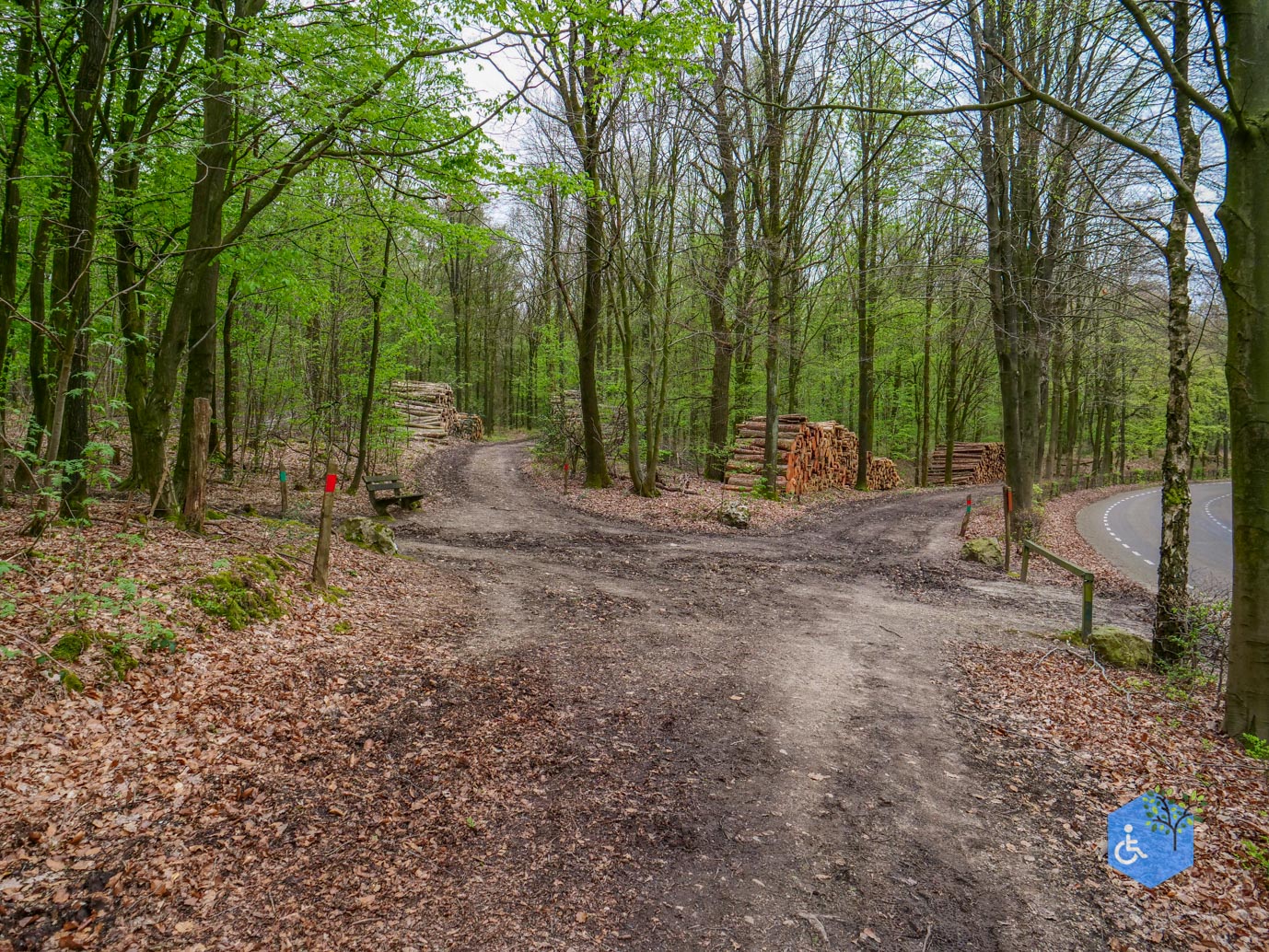 Vijlen_Wandelroute_Malensbos_07-04-2024-35