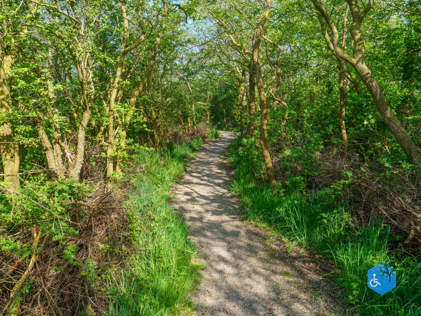 De_Waal_Ommetje_De_Marel_02-05-2024-14