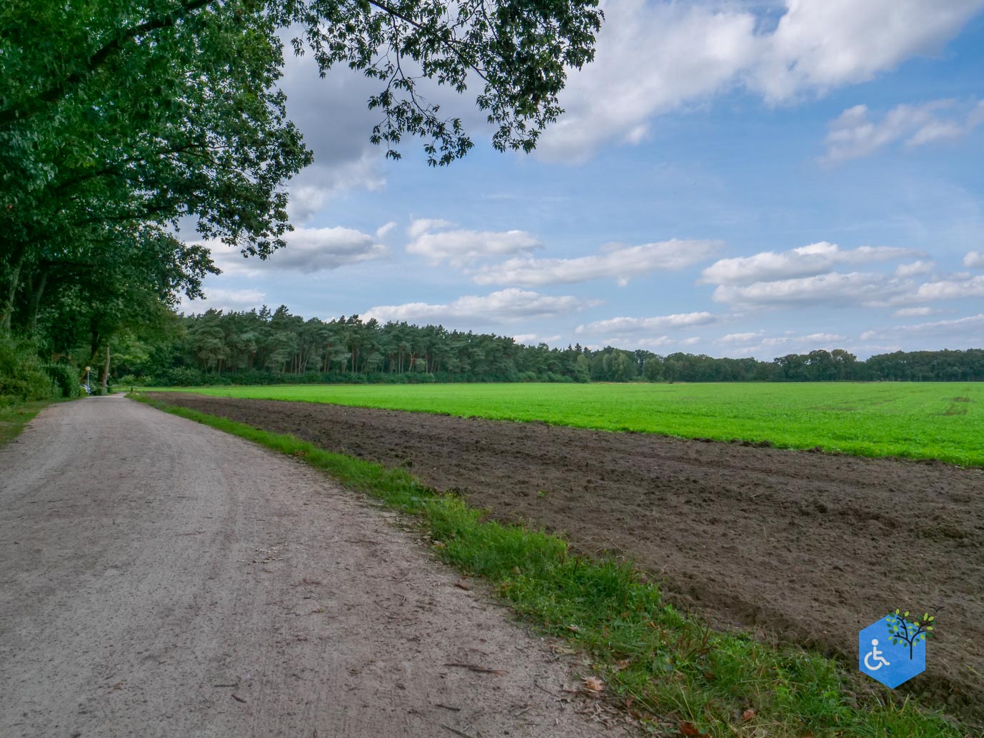 Ede_Rondje_de_Ginkel_30-08-2024-04