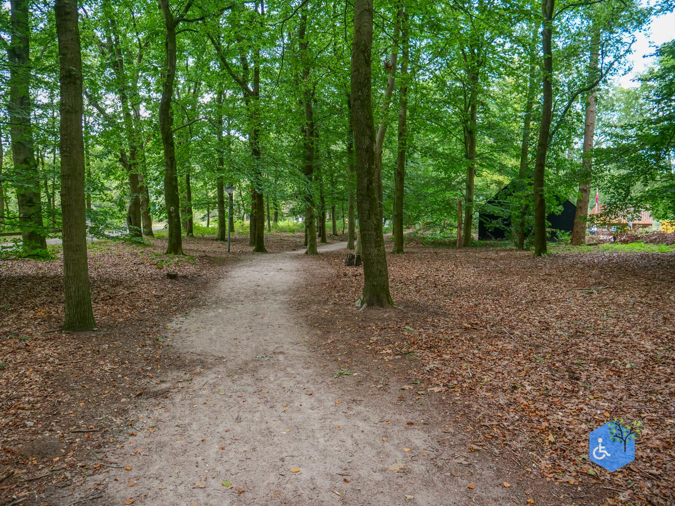 Ede_Rondje_de_Ginkel_30-08-2024-08