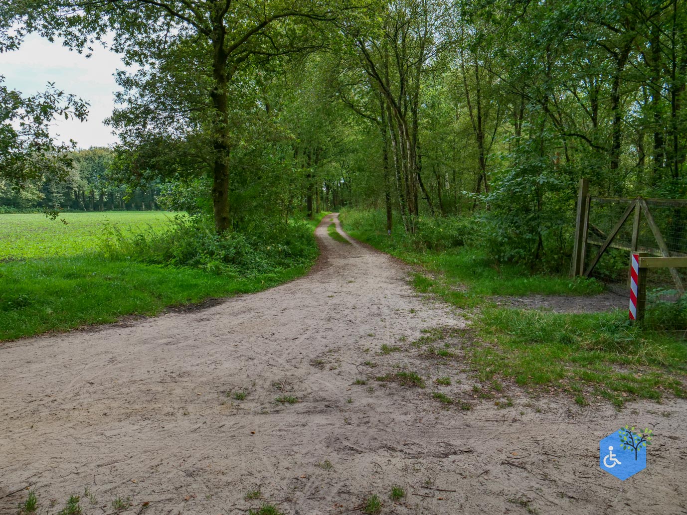 Ede_Rondje_de_Ginkel_30-08-2024-15