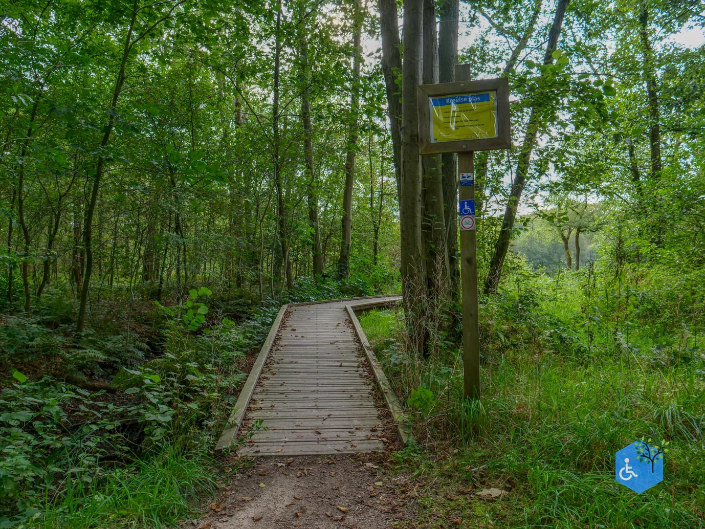 Ede_Rondje_de_Ginkel_30-08-2024-18