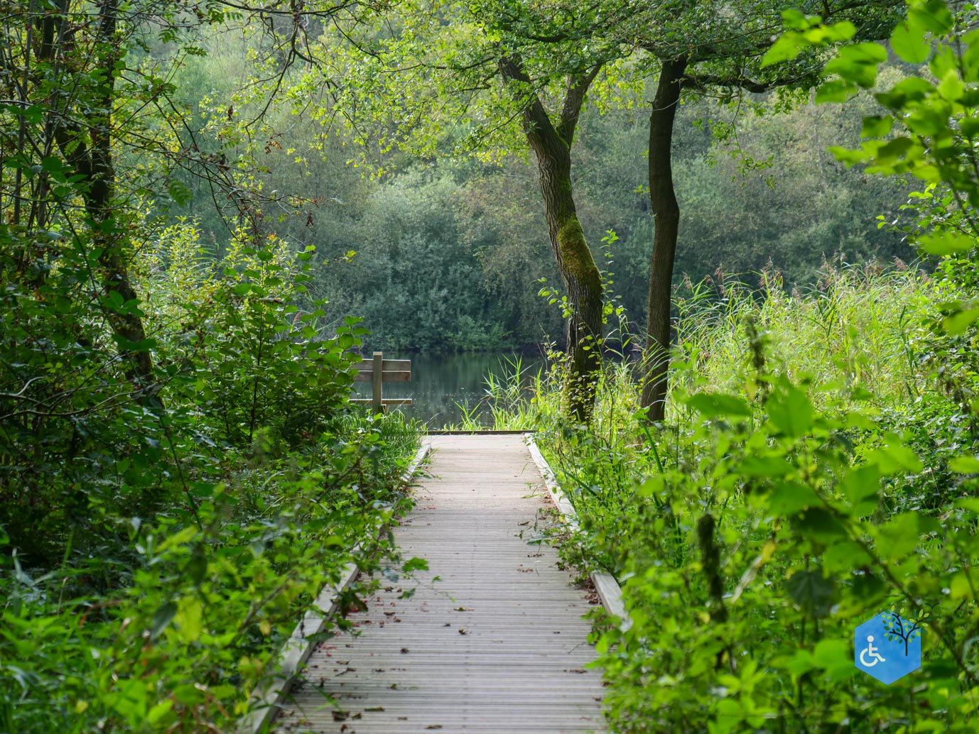 Ede_Rondje_de_Ginkel_30-08-2024-21