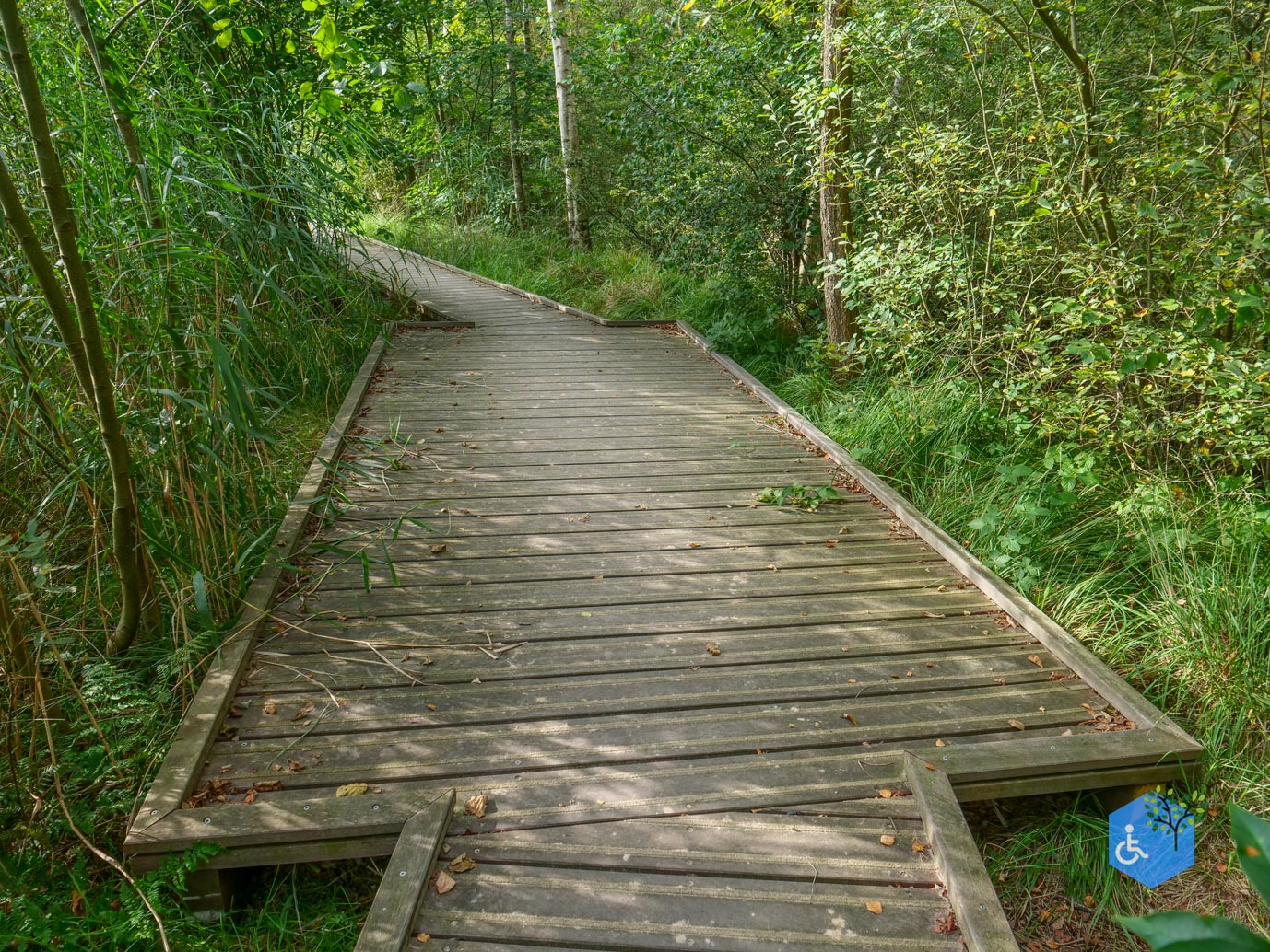 Ede_Rondje_de_Ginkel_30-08-2024-24