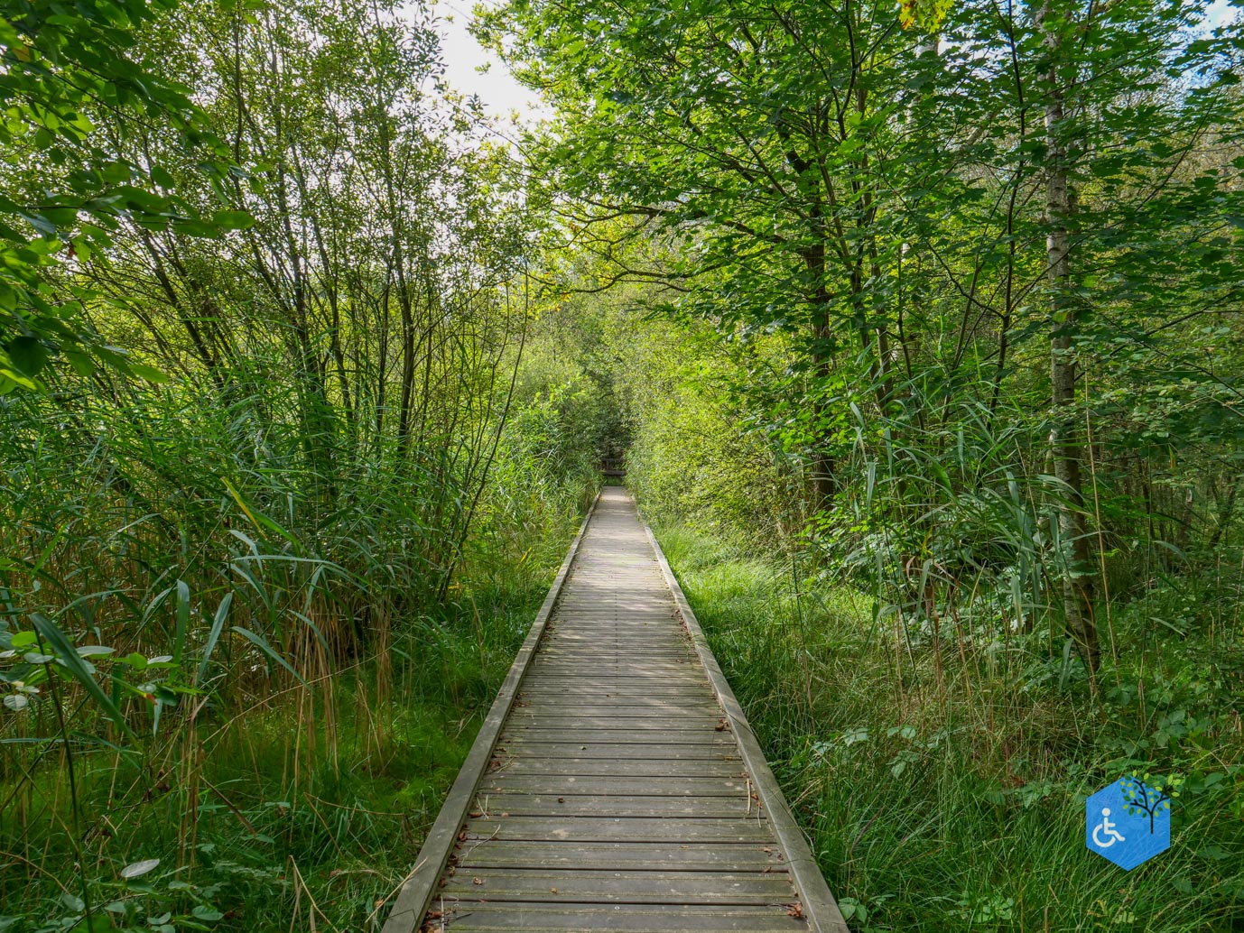 Ede_Rondje_de_Ginkel_30-08-2024-25